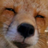 flisk's avatar